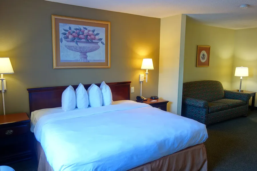 Country Inn & Suites by Radisson, McDonough, GA hotel detail image 6