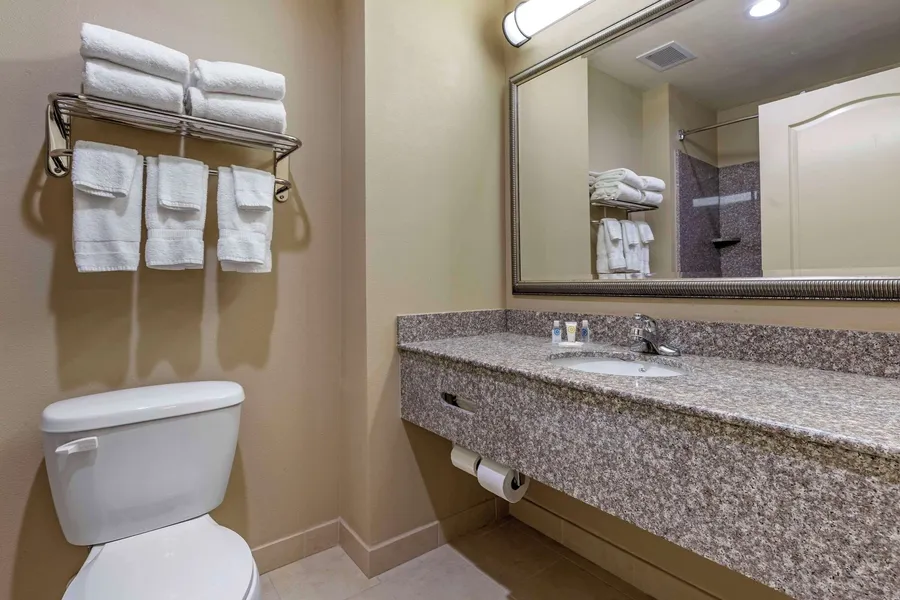 Comfort Inn & Suites High Point - Archdale hotel detail image 6
