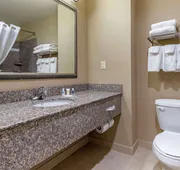 Comfort Inn & Suites High Point - Archdale hotel detail image 7
