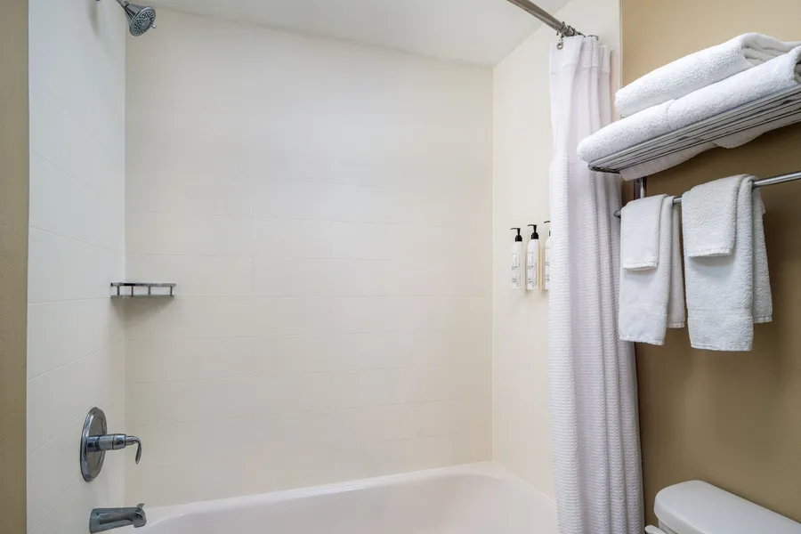 SpringHill Suites by Marriott Sarasota Bradenton hotel detail image 6