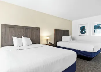 Las Vegas Serene Hotel hotel thumbnail 4