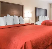 Quality Inn & Suites Woodland - Sacramento Airport hotel detail image 7