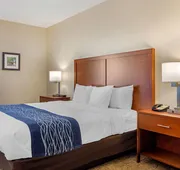 Comfort Inn Douglasville - Atlanta West hotel detail image 5