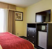Comfort Inn & Suites Macon North I-75 hotel detail image 5