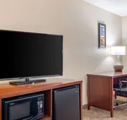 Comfort Inn & Suites Macon North I-75 hotel detail image 7