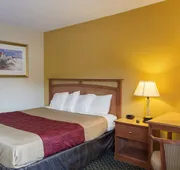 Econo Lodge Petersburg - Fort Lee hotel detail image 5