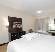 Red Roof Inn PLUS+ Jacksonville - Southpoint hotel detail image 5