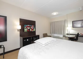 Red Roof Inn PLUS+ Jacksonville - Southpoint hotel thumbnail 5