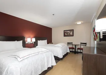 Red Roof Inn PLUS+ Jacksonville - Southpoint hotel thumbnail 7