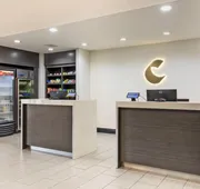 Comfort Inn & Suites Irving Las Colinas DFW hotel detail image 3