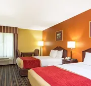 Lux Hotel hotel detail image 4