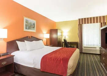 Lux Hotel hotel thumbnail 6