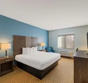 Best Western South Plains Inn & Suites hotel detail image 4