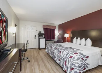 Red Roof Inn & Suites Rome hotel thumbnail 3