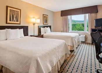 Silver Fox Inn hotel thumbnail 8