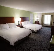Holiday Inn Express Hickory-Hickory Mart by IHG hotel detail image 3