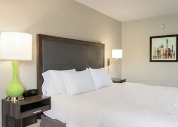 Hampton Inn Birmingham/Trussville hotel thumbnail 8