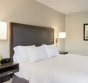 Hampton Inn Birmingham/Trussville hotel detail image 7