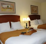 Holiday Inn Express Hotel & Suites Dallas-Grand Prairie I-20 by IHG hotel detail image 3