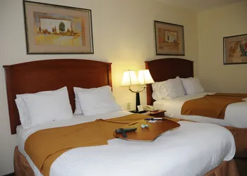 Holiday Inn Express Hotel & Suites Dallas-Grand Prairie I-20 by IHG hotel thumbnail 3