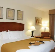 Holiday Inn Express Hotel & Suites Dallas-Grand Prairie I-20 by IHG hotel detail image 4