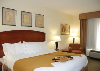 Holiday Inn Express Hotel & Suites Dallas-Grand Prairie I-20 by IHG hotel thumbnail 4