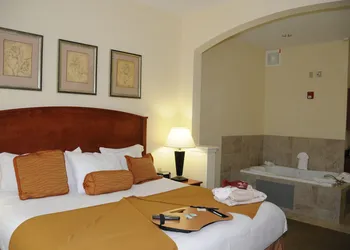 Holiday Inn Express Hotel & Suites Dallas-Grand Prairie I-20 by IHG hotel thumbnail 5