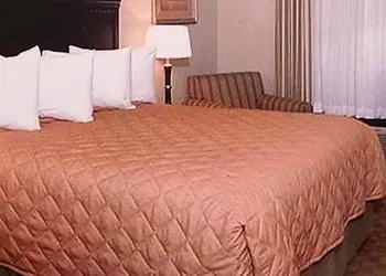 Americas Best Value Inn & Suites Griffin hotel thumbnail 6
