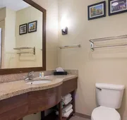 Comfort Suites Saraland - North Mobile hotel detail image 3