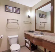 Comfort Suites Saraland - North Mobile hotel detail image 4