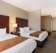 Comfort Suites Saraland - North Mobile hotel detail image 7