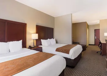Comfort Suites Saraland - North Mobile hotel thumbnail 7
