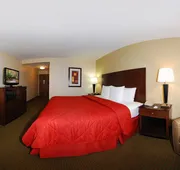 Comfort Inn & Suites Moss Point Pascagoula hotel detail image 5