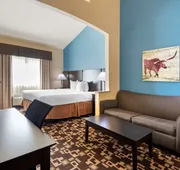 Best Western Plus Arlington North Hotel & Suites hotel detail image 4