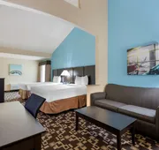 Best Western Plus Arlington North Hotel & Suites hotel detail image 5