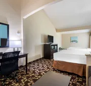 Best Western Plus Arlington North Hotel & Suites hotel detail image 7