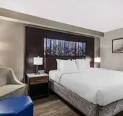 Best Western Atlanta-Marietta Ballpark Hotel hotel detail image 4