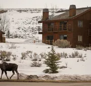 Spring Creek Ranch hotel detail image 5
