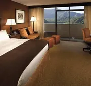 The Park Vista - a DoubleTree by Hilton Hotel - Gatlinburg hotel detail image 4