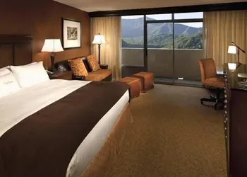 The Park Vista - a DoubleTree by Hilton Hotel - Gatlinburg hotel thumbnail 4