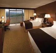 The Park Vista - a DoubleTree by Hilton Hotel - Gatlinburg hotel detail image 5