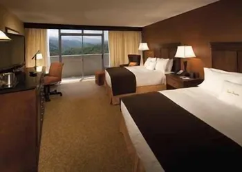 The Park Vista - a DoubleTree by Hilton Hotel - Gatlinburg hotel thumbnail 5