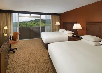The Park Vista - a DoubleTree by Hilton Hotel - Gatlinburg hotel thumbnail 6
