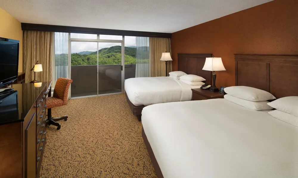 The Park Vista - a DoubleTree by Hilton Hotel - Gatlinburg hotel detail image 6
