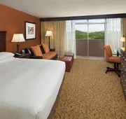 The Park Vista - a DoubleTree by Hilton Hotel - Gatlinburg hotel detail image 7