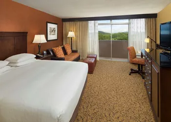 The Park Vista - a DoubleTree by Hilton Hotel - Gatlinburg hotel thumbnail 7