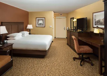 The Park Vista - a DoubleTree by Hilton Hotel - Gatlinburg hotel thumbnail 8