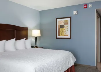 Hampton Inn Denver-International Airport hotel thumbnail 6