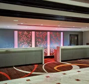 Hilton Rosemont Chicago O'Hare hotel detail image 4