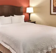 Hampton Inn Houston-Willowbrook Mall hotel detail image 4